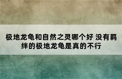 极地龙龟和自然之灵哪个好 没有羁绊的极地龙龟是真的不行